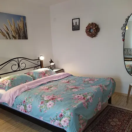 Apartmany Zatec شقة